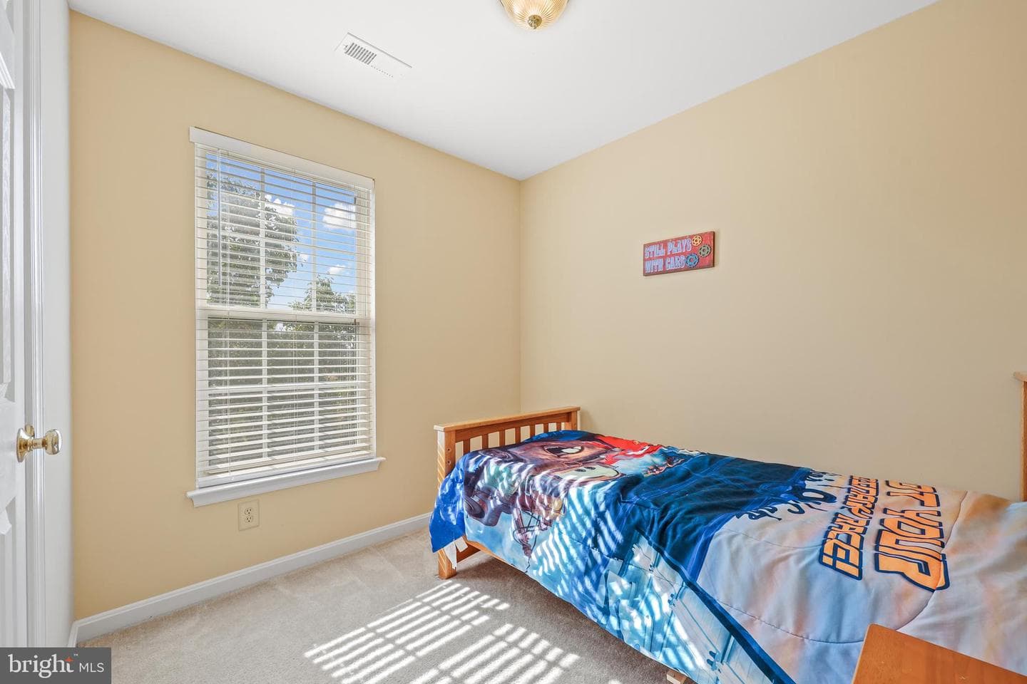 10008 Gander Court photo 26