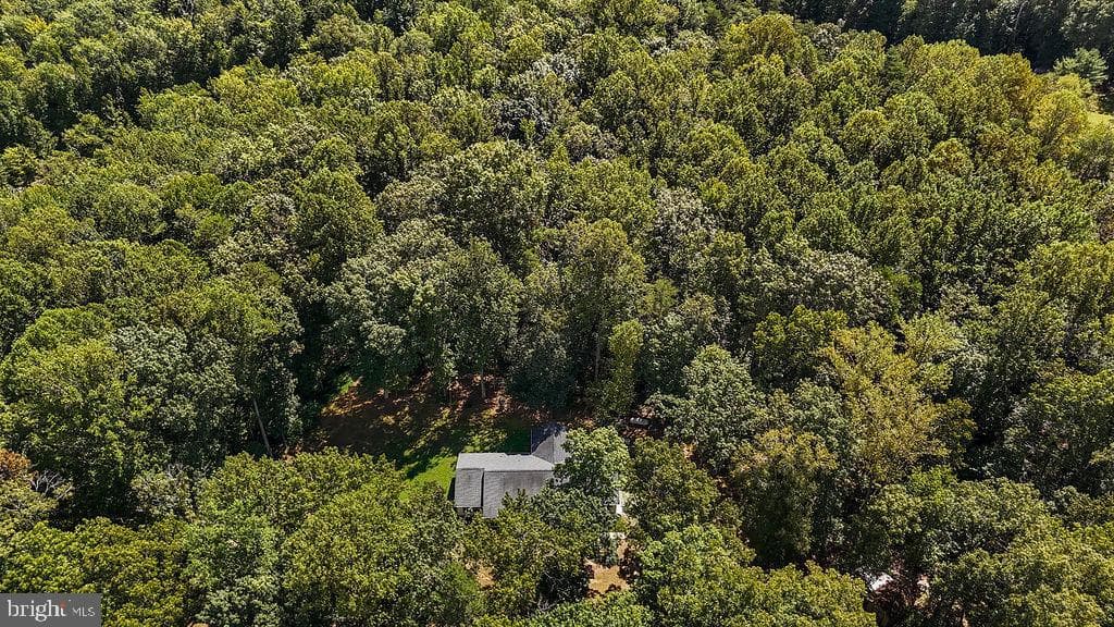 7525 Nyland Road photo 40