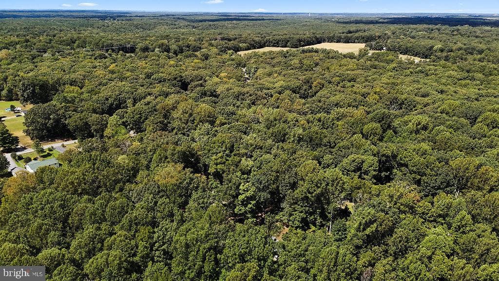 7525 Nyland Road photo 45