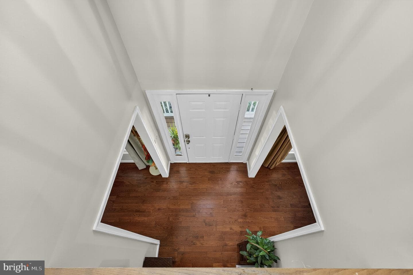 11905 Buttercup Lane photo 50