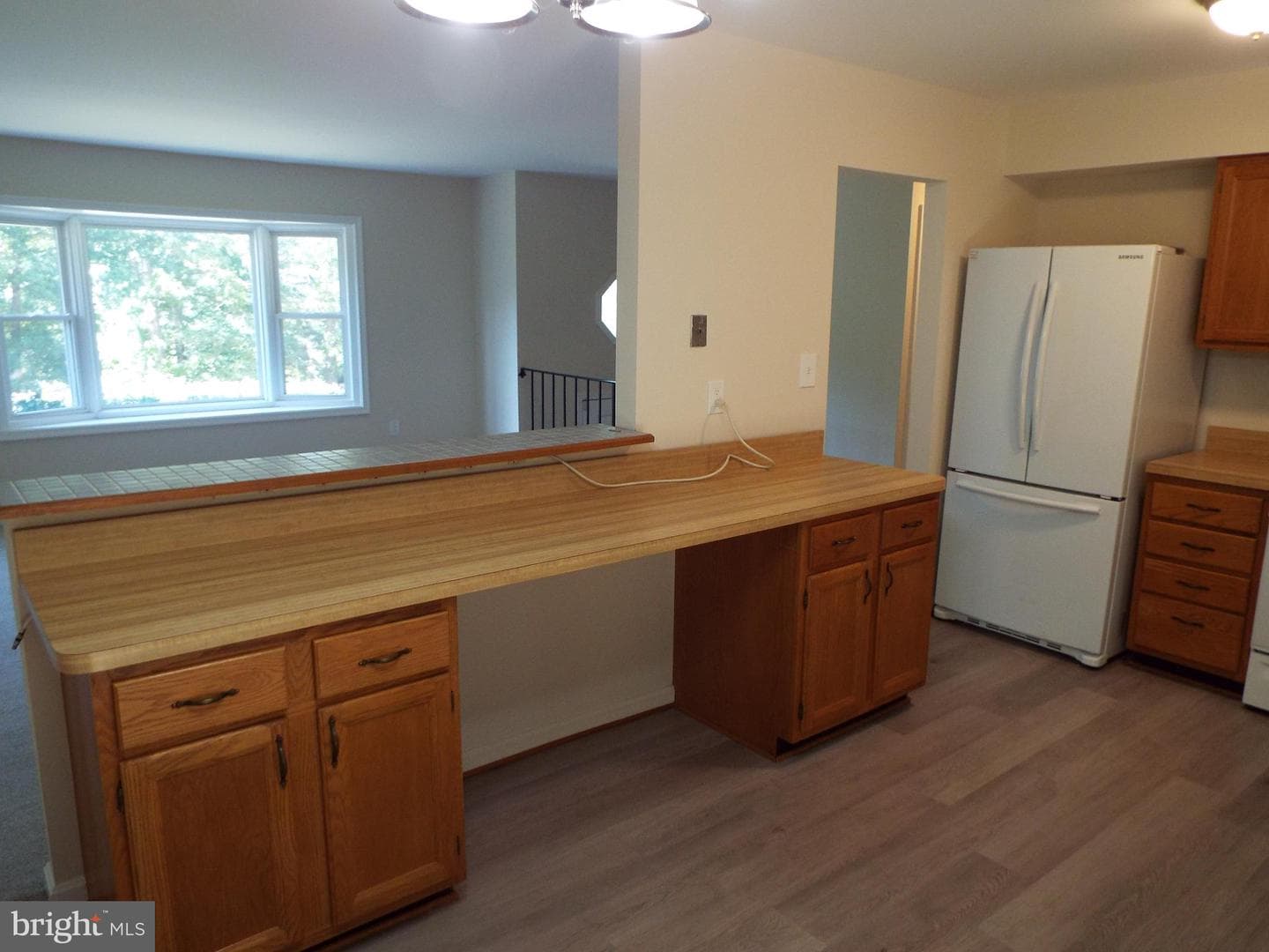 447 Albany Street photo 12