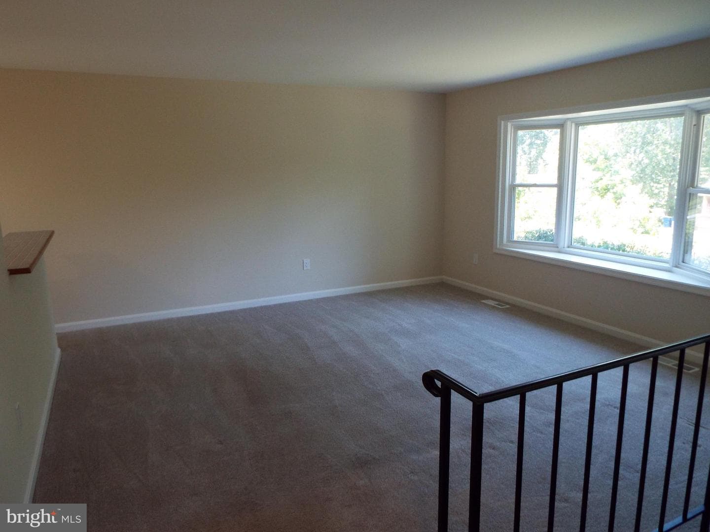 447 Albany Street photo 14