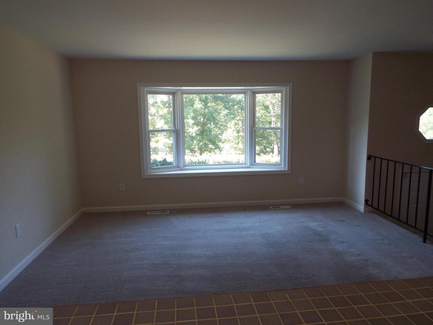447 Albany Street photo 16