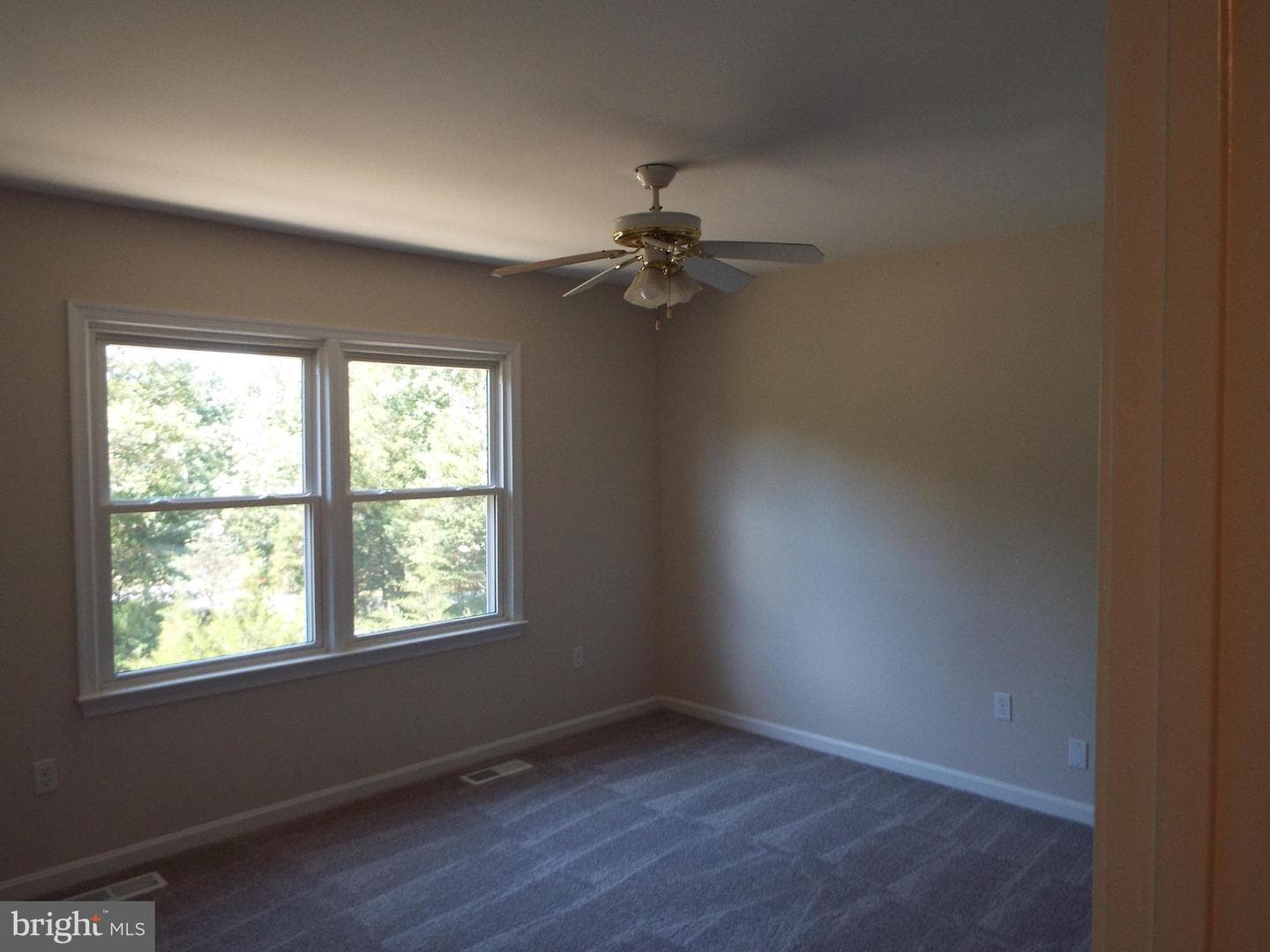 447 Albany Street photo 17