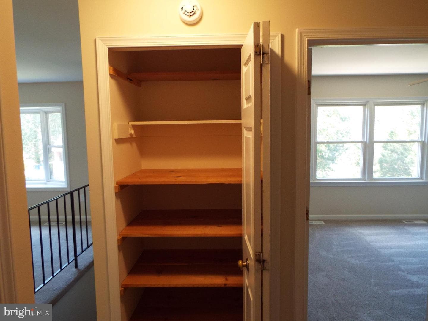 447 Albany Street photo 24