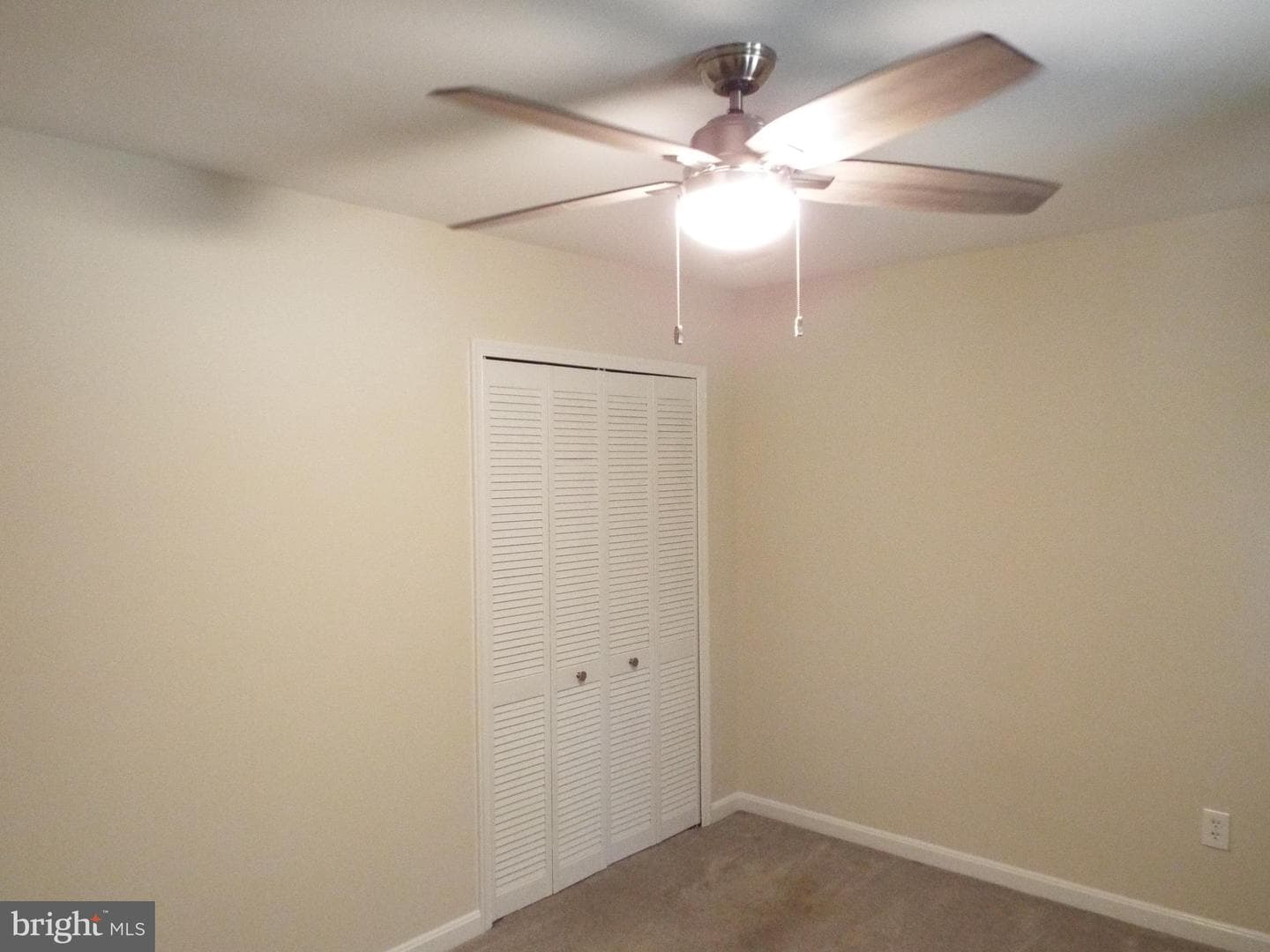 447 Albany Street photo 31