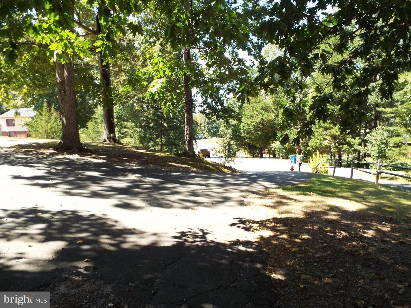 447 Albany Street photo 6