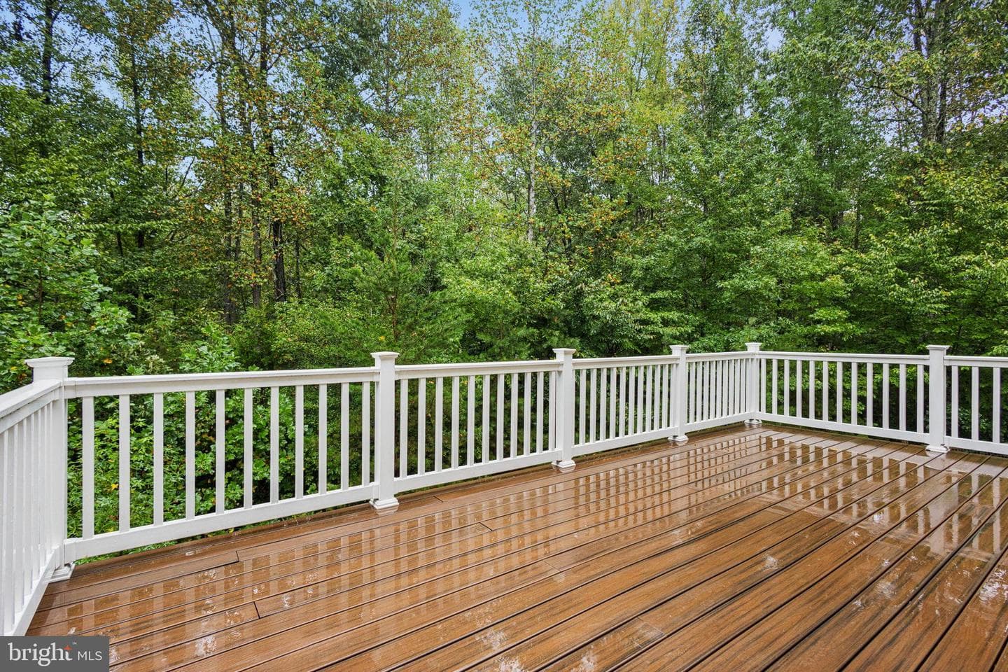 9007 McAlister Court photo 10