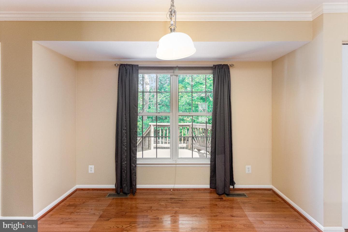 11308 Springfield Drive photo 15
