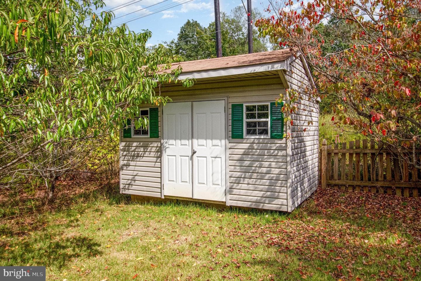 11308 Springfield Drive photo 25