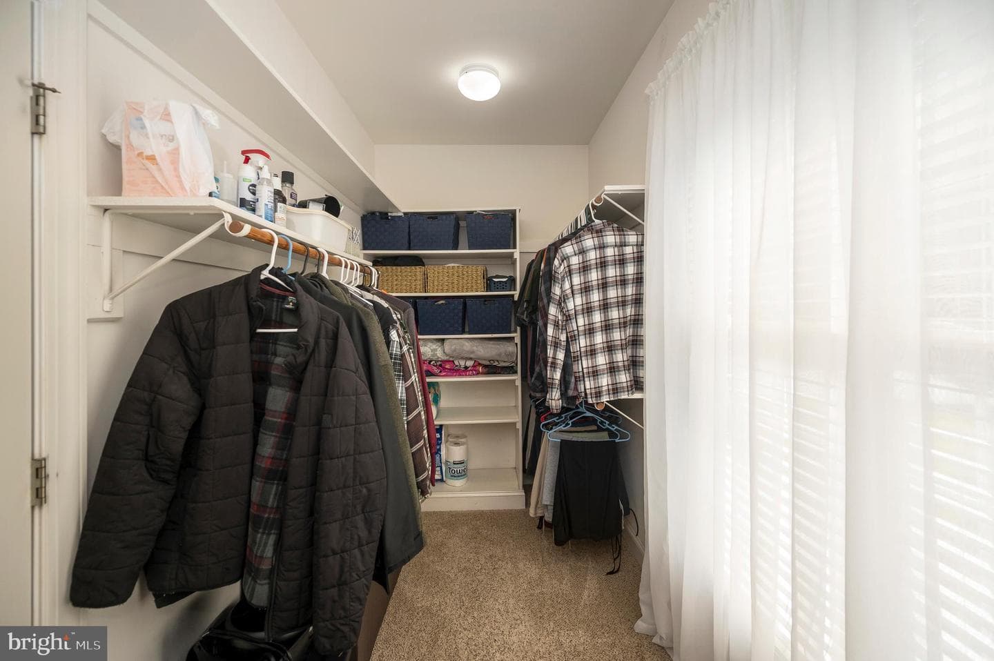10219 Colechester Street photo 35