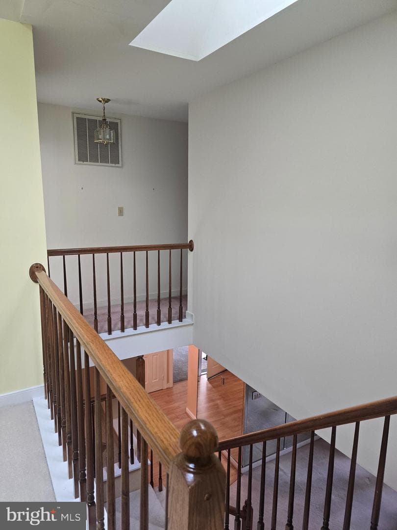 11606 Savannah Drive photo 19