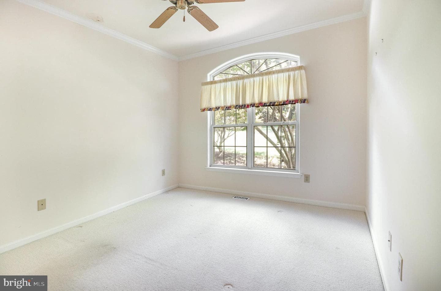 15606 Cedar Tree Ct photo 21