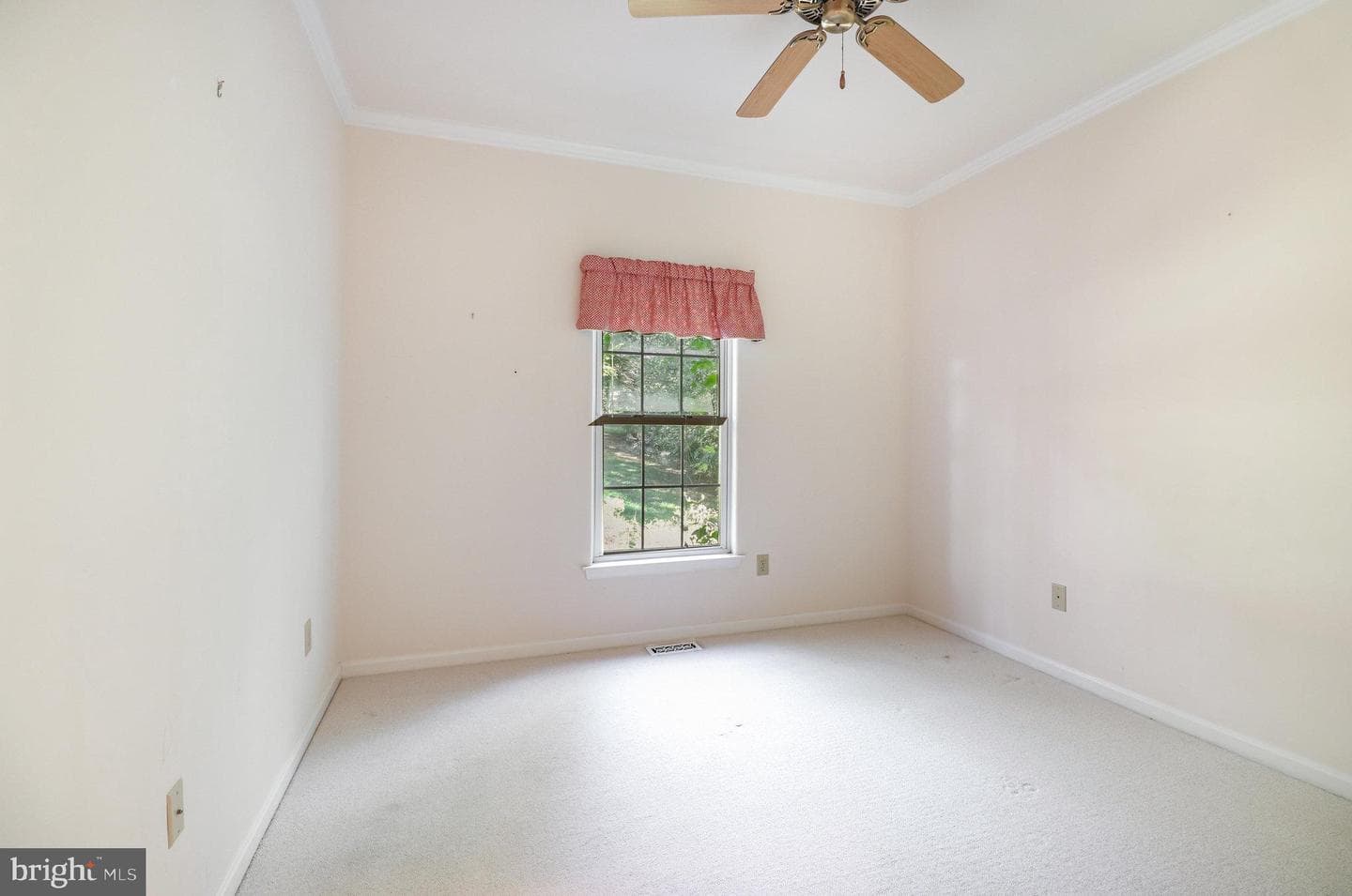 15606 Cedar Tree Ct photo 22