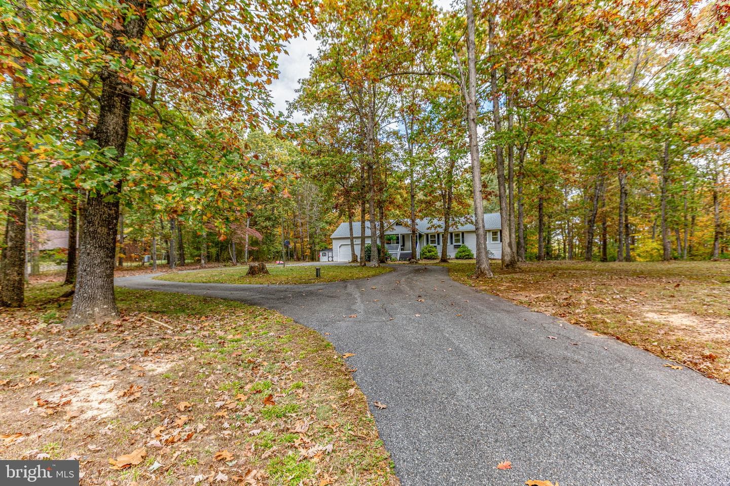 9309 Bellwood Drive photo 3