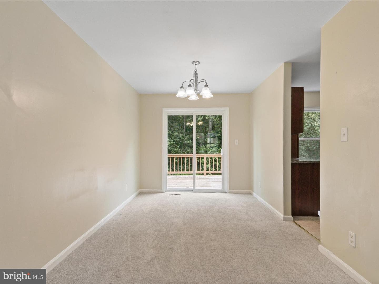 10611 Cobblestone Drive photo 9