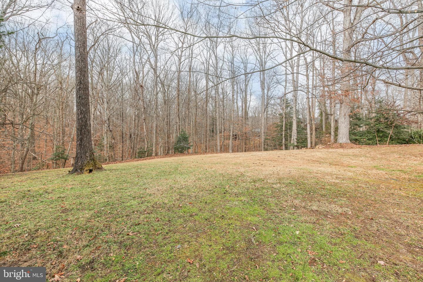 9 Old Ridge Road photo 68