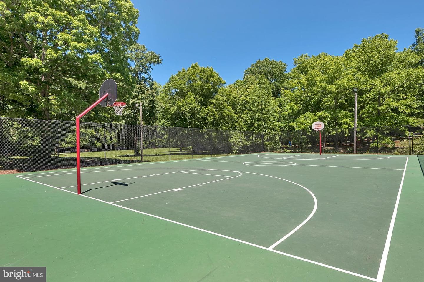 12503 Flock Court photo 43