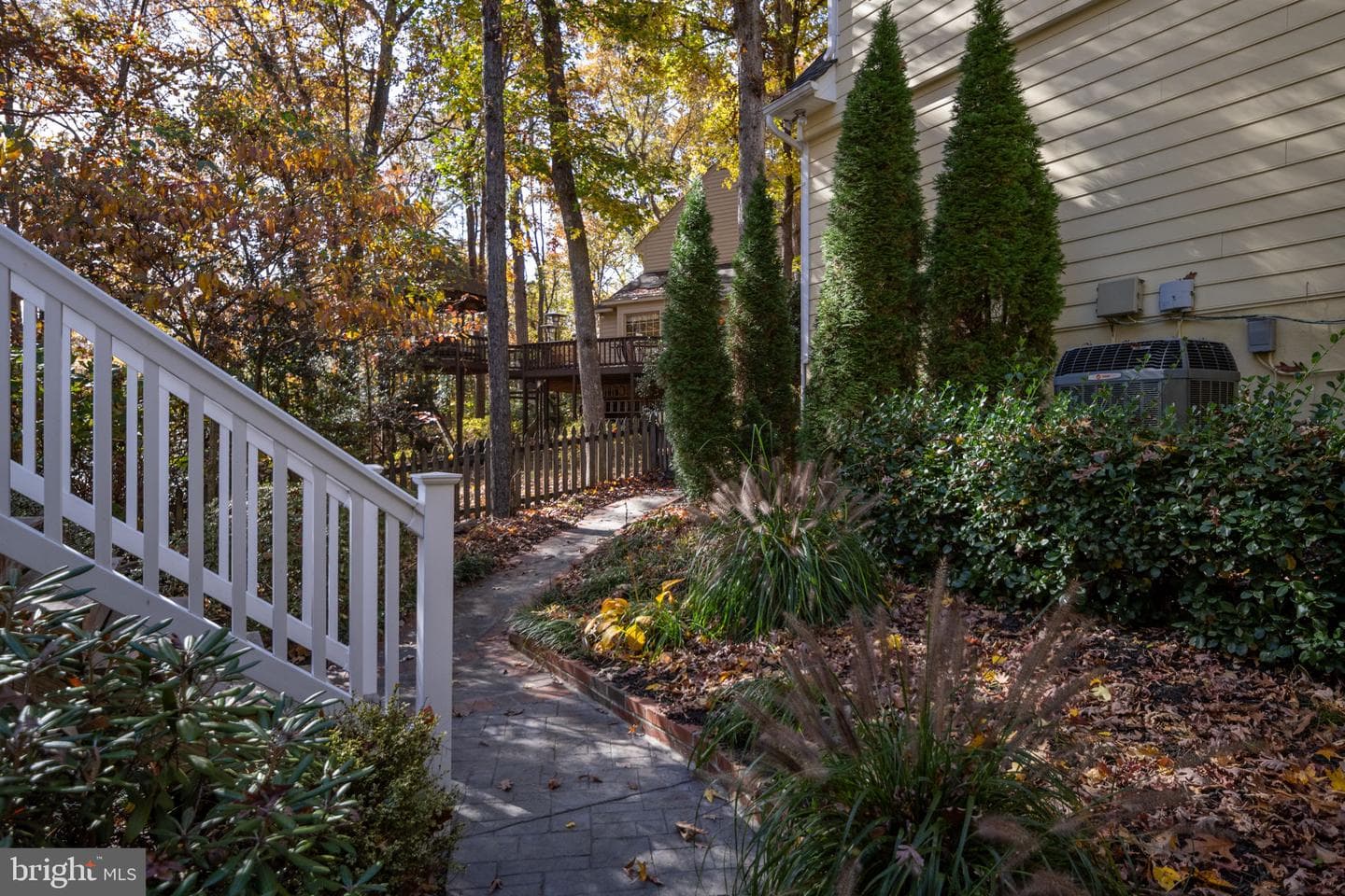 404 Whitecliff Drive photo 55