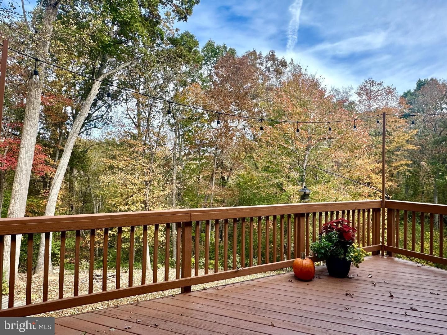 10747 Bridlerein Court photo 43