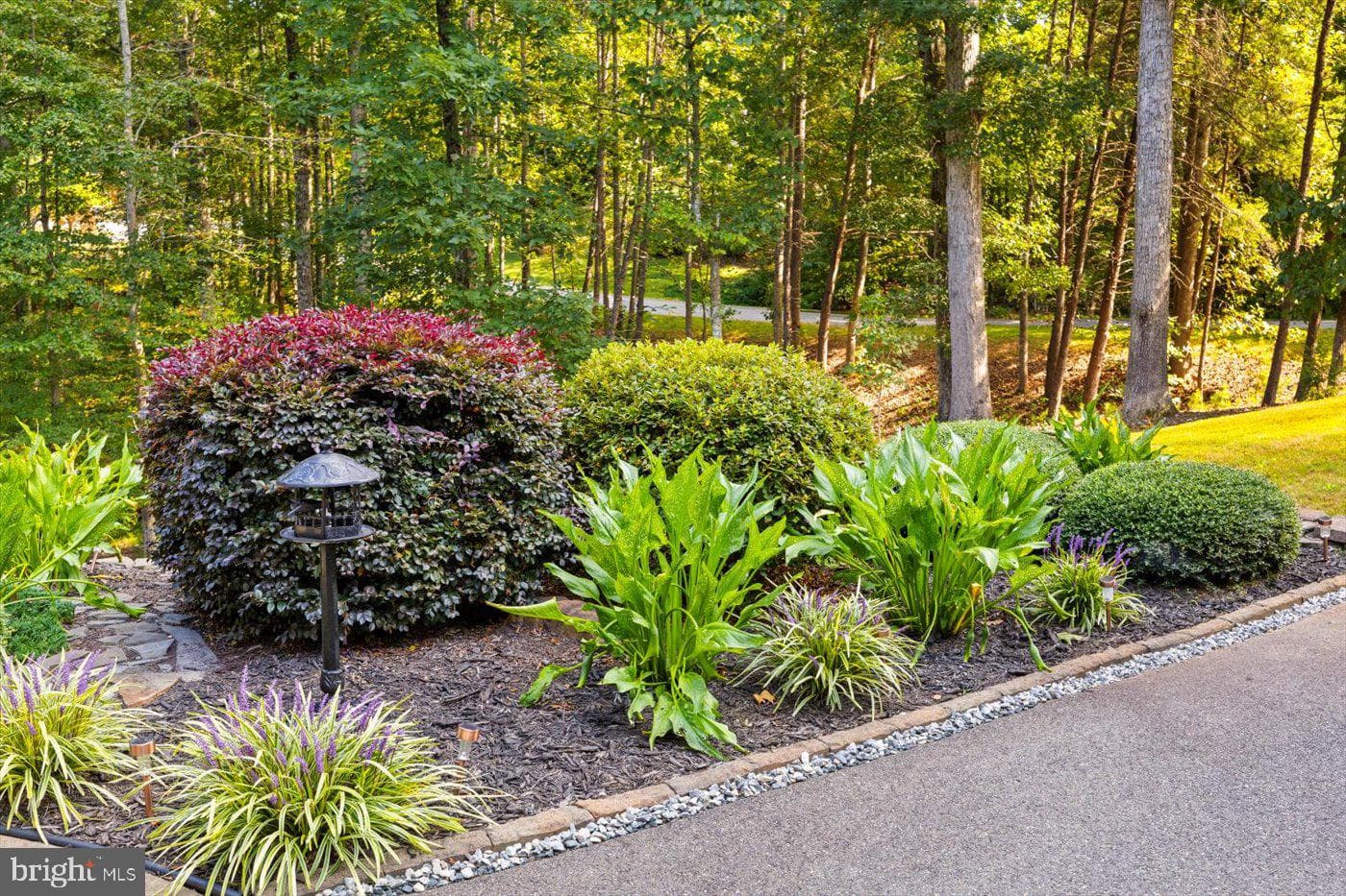 10747 Bridlerein Court photo 50