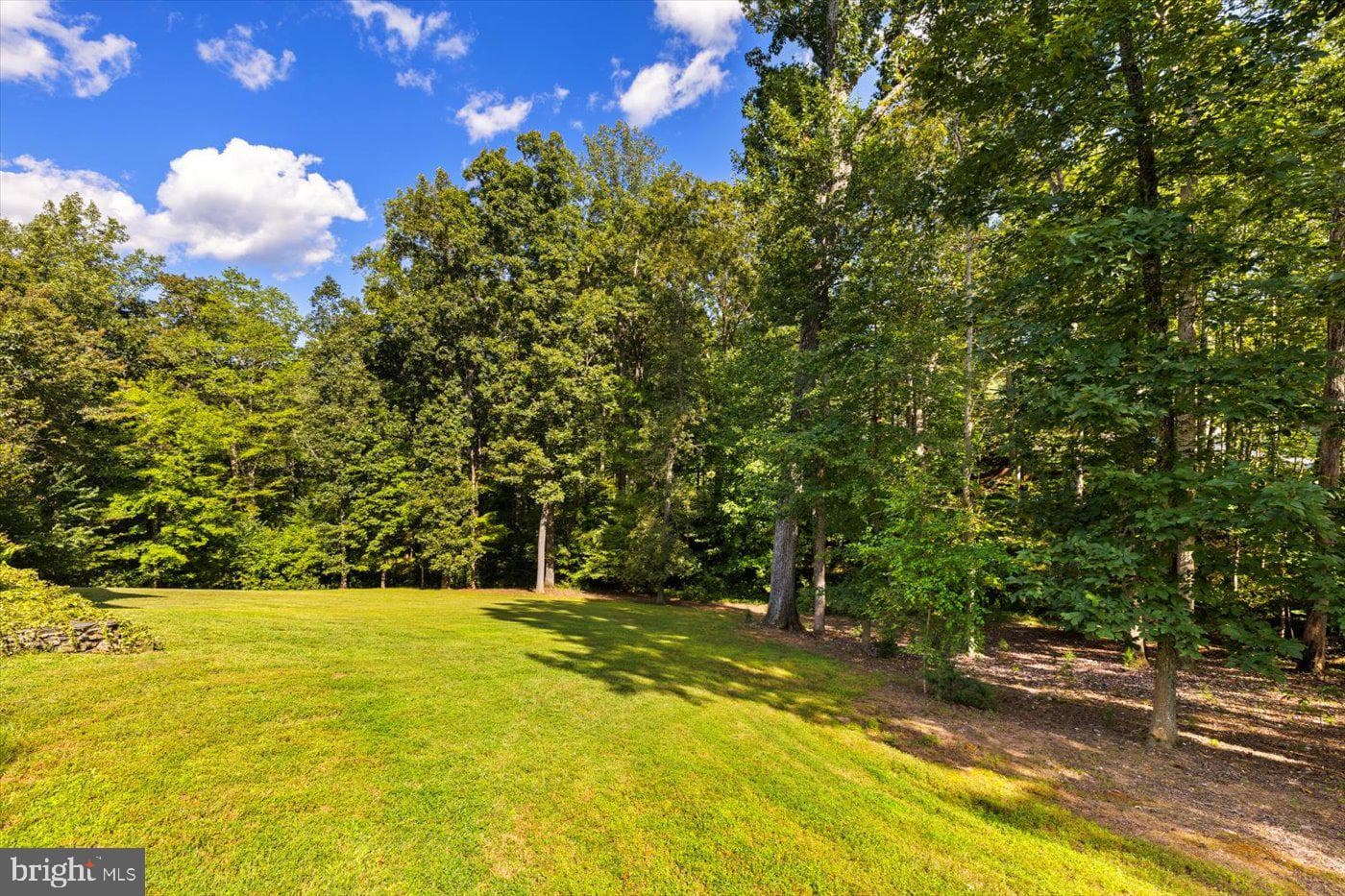 10747 Bridlerein Court photo 57