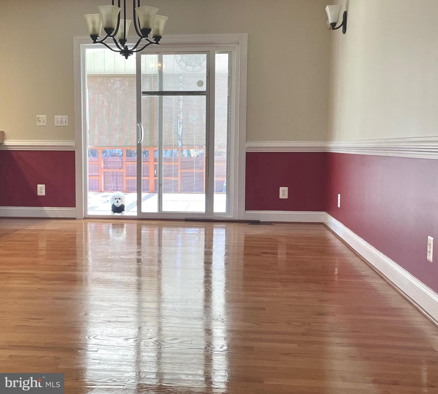 5624 Glen Eagles Court photo 6