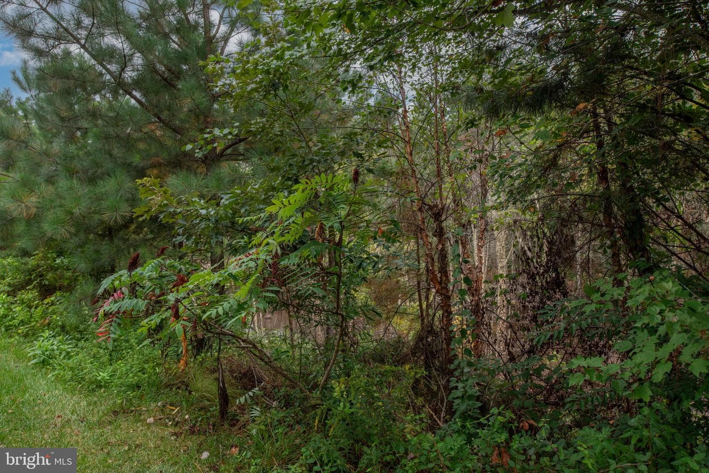 9426 Reservoir Road photo 70