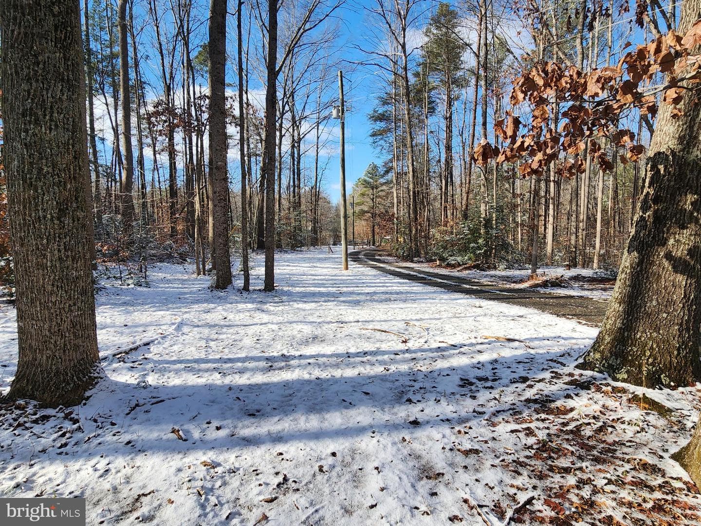 6101 Glebe Run Road photo 53