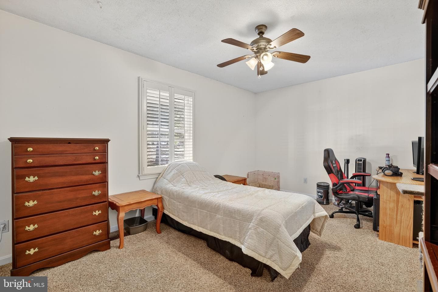 410 Albany Street photo 13
