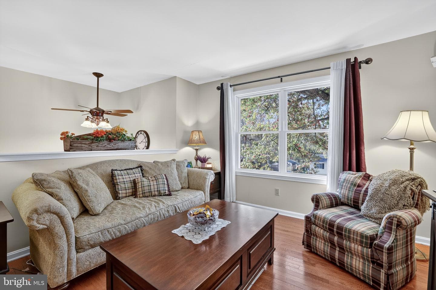 410 Albany Street photo 2