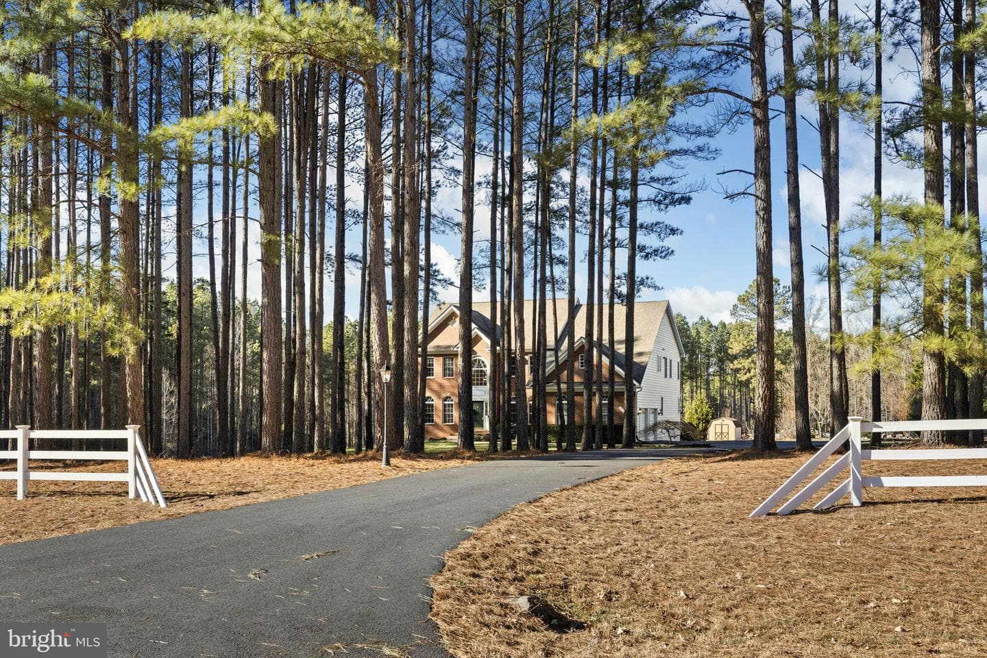 10041 Tarrington Way photo 57