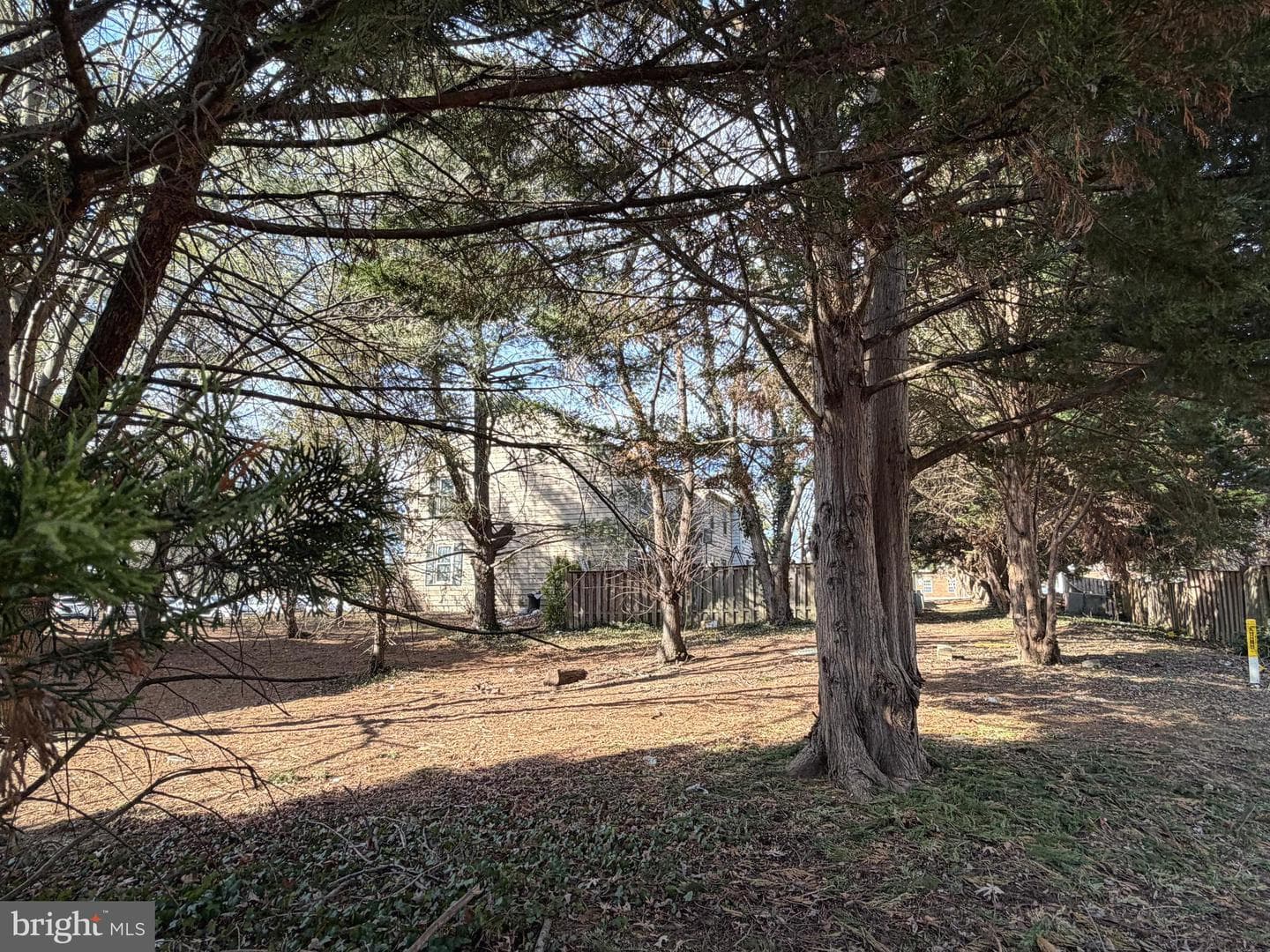 10728 Brice Court photo 48