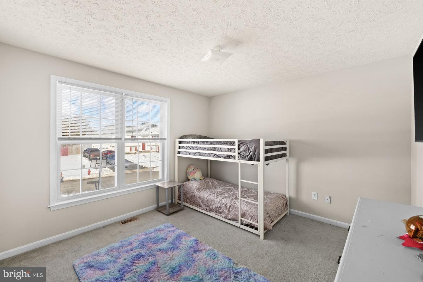 10733 Allie Drive photo 28