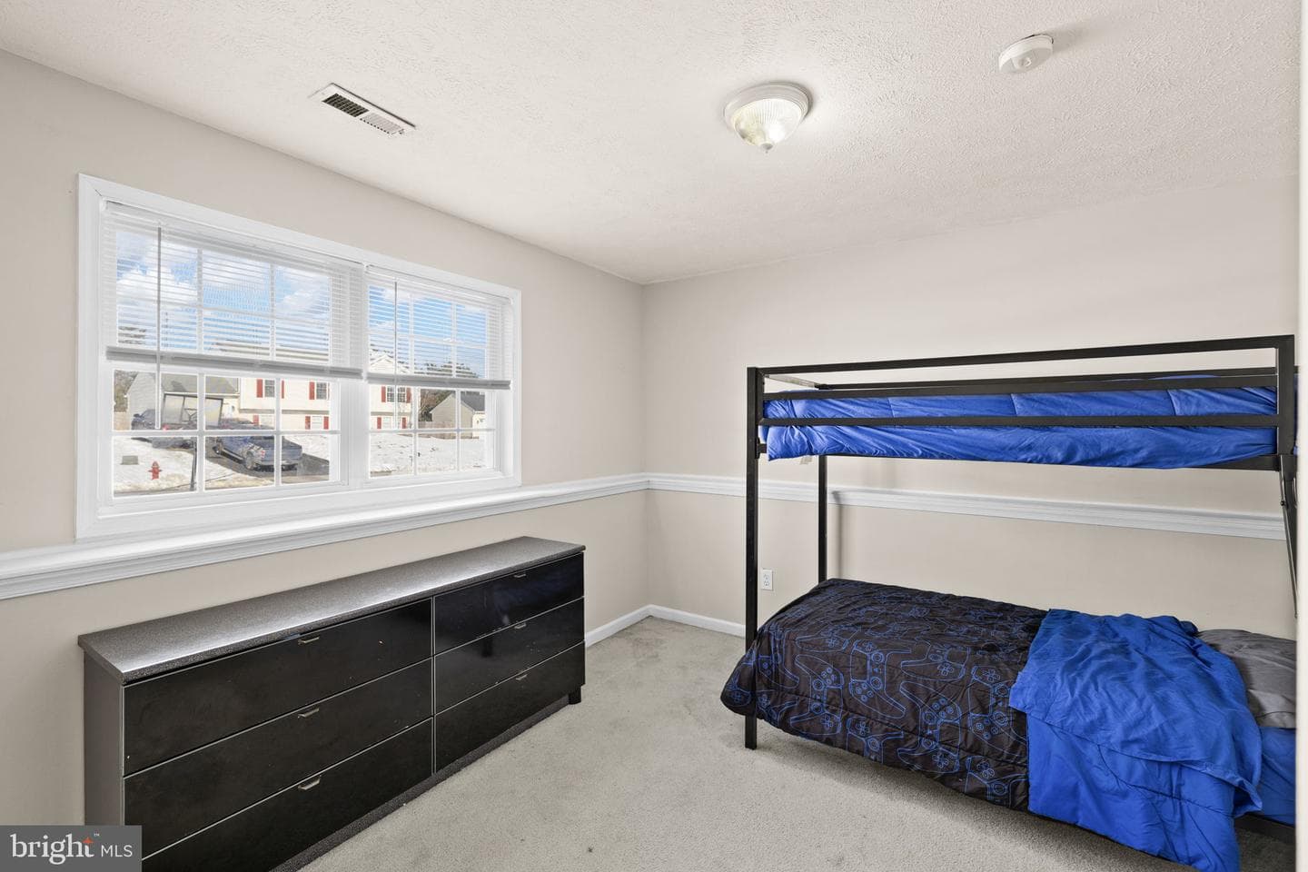 10733 Allie Drive photo 29