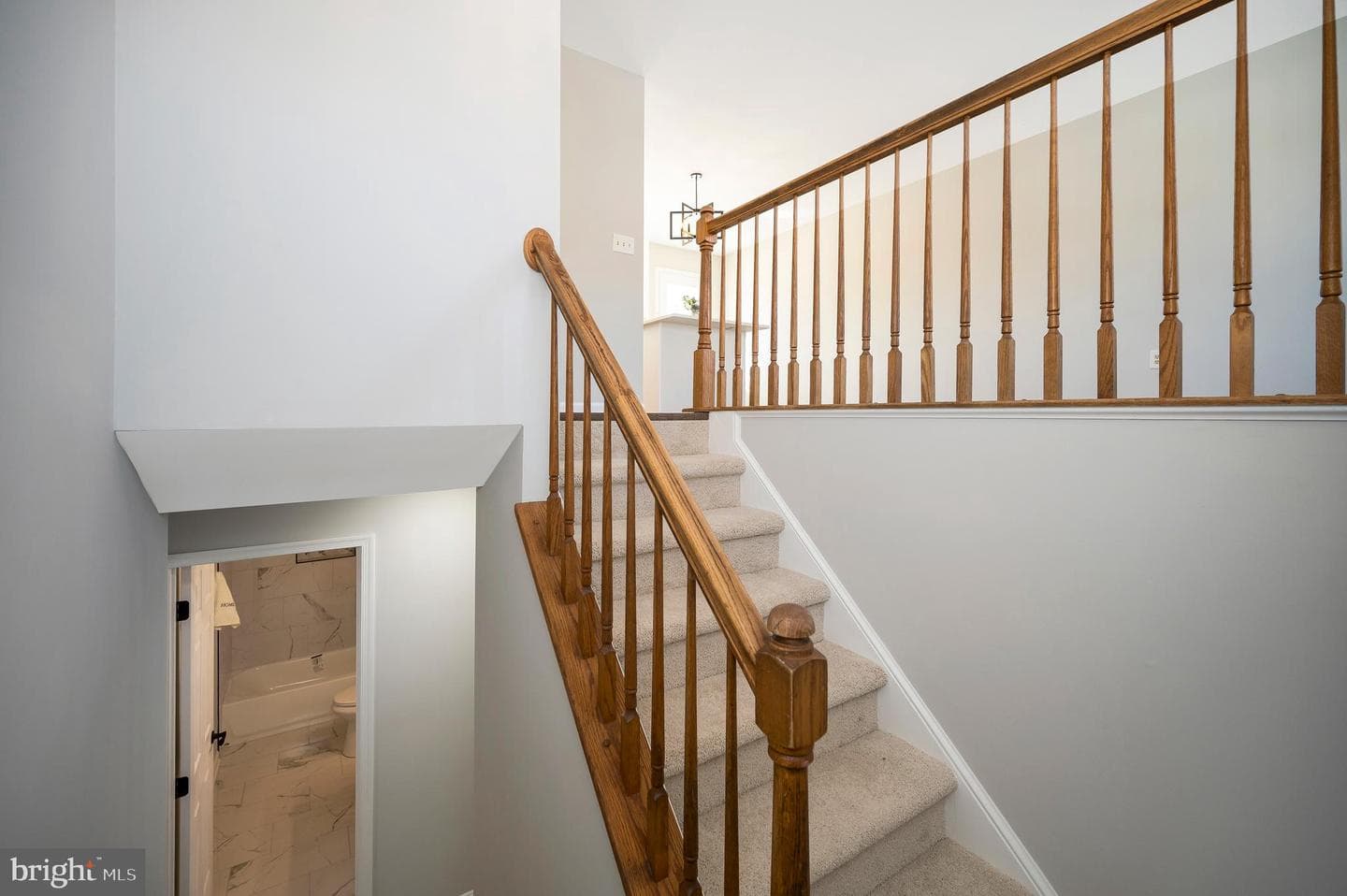 8006 Blossom Wood Court photo 29
