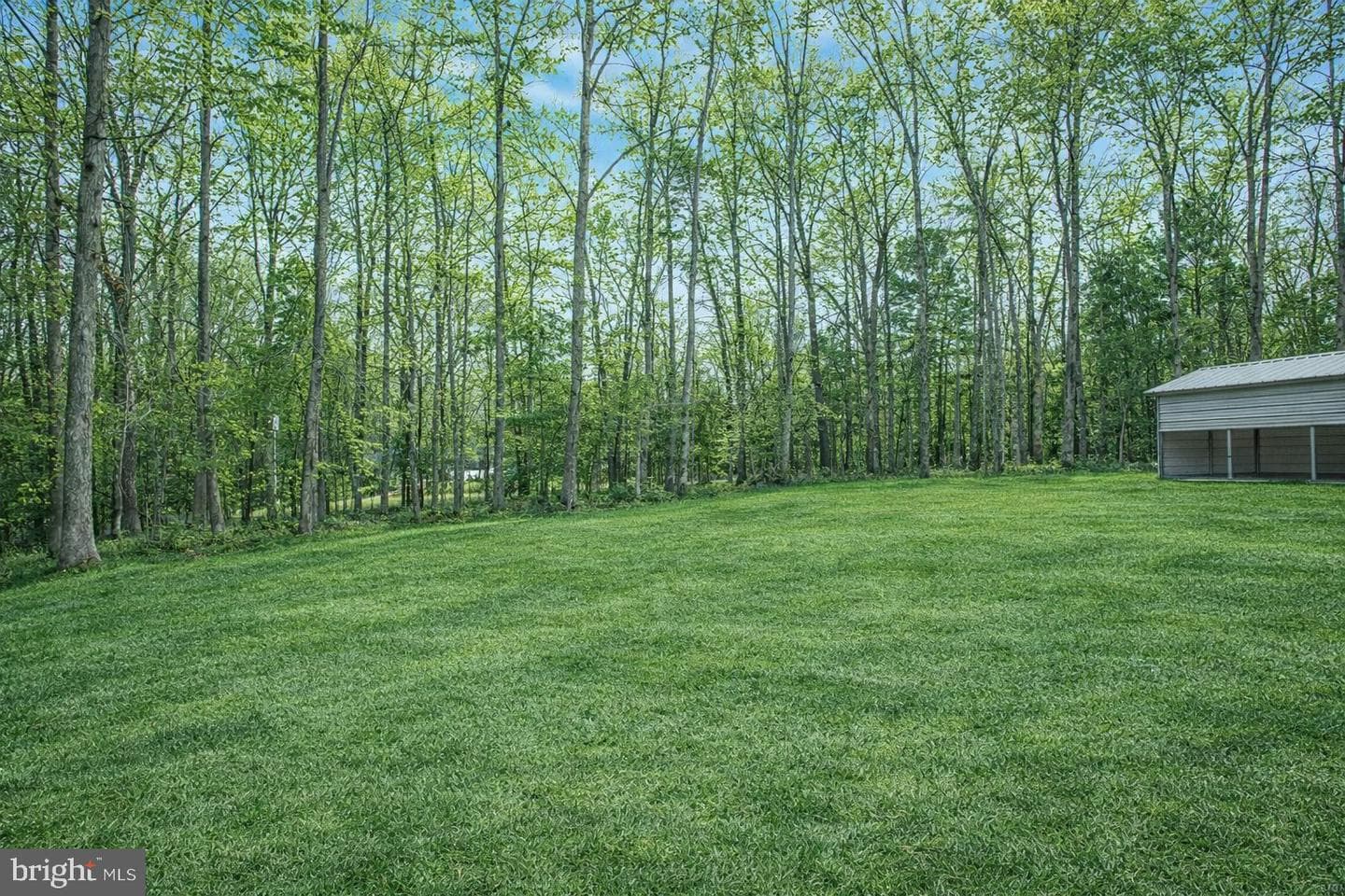6113 Ridge Tree Road photo 19