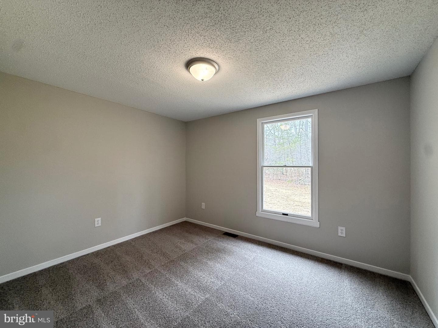 4313 Shepherds Road photo 14