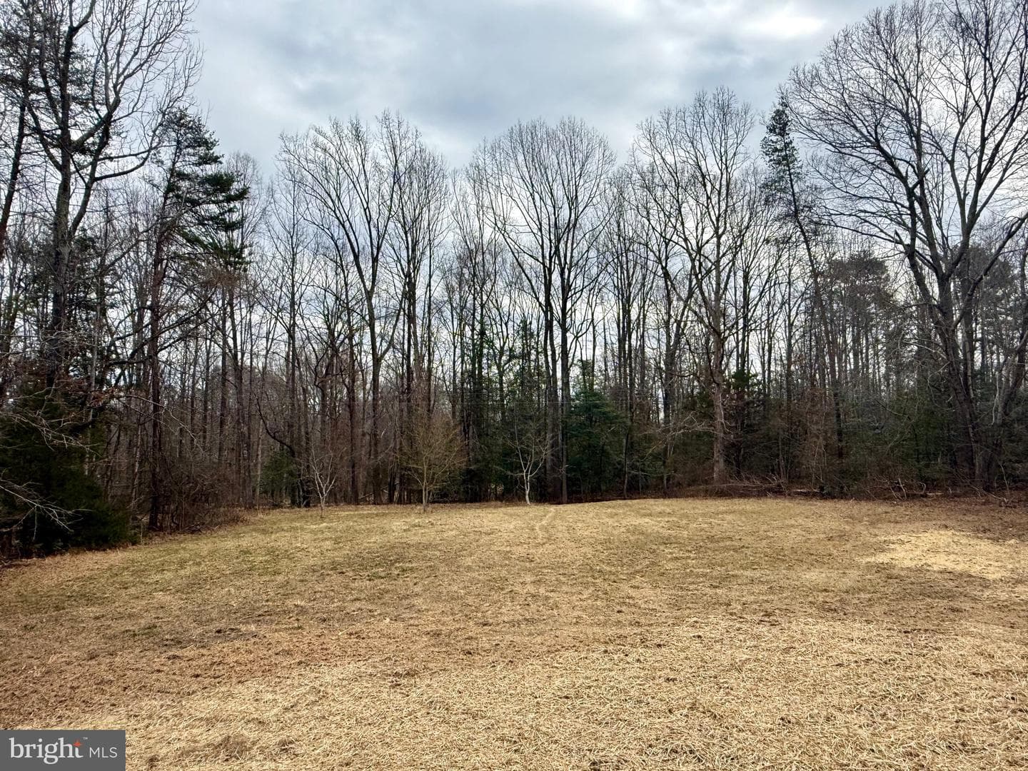 4313 Shepherds Road photo 21