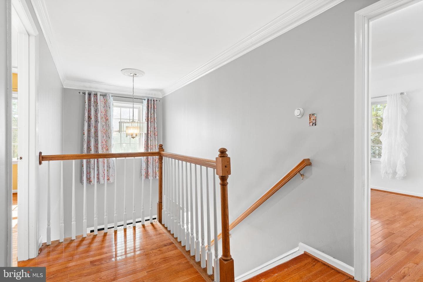 4305 Bridlepath Court photo 22
