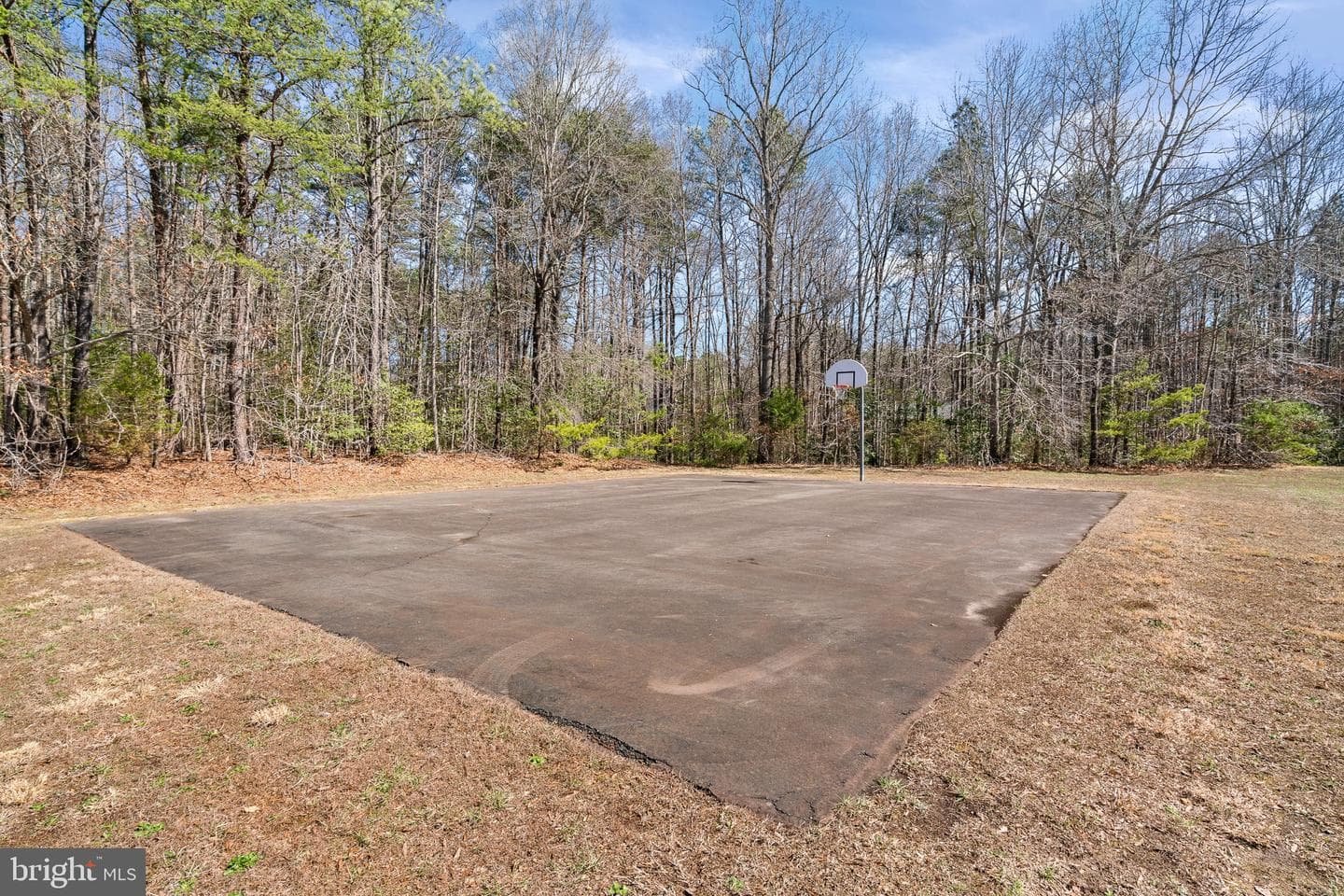 4305 Bridlepath Court photo 70