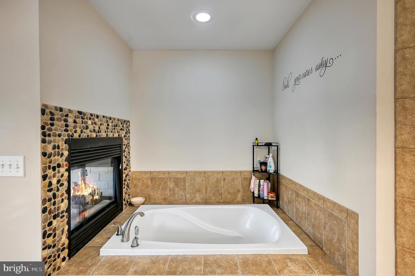 9490 Vanreenan Way photo 36