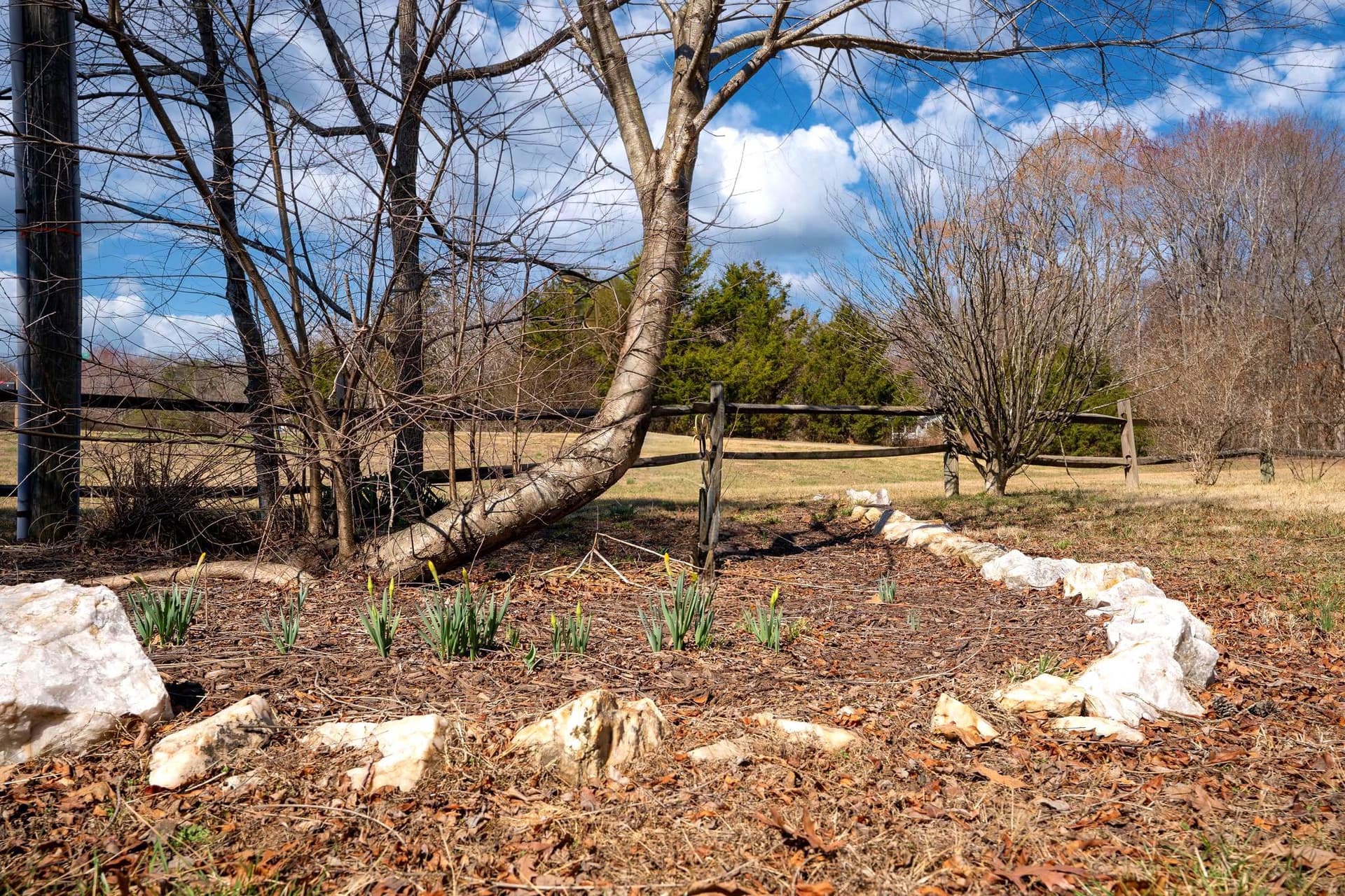 5527 Smith Station Road photo 48