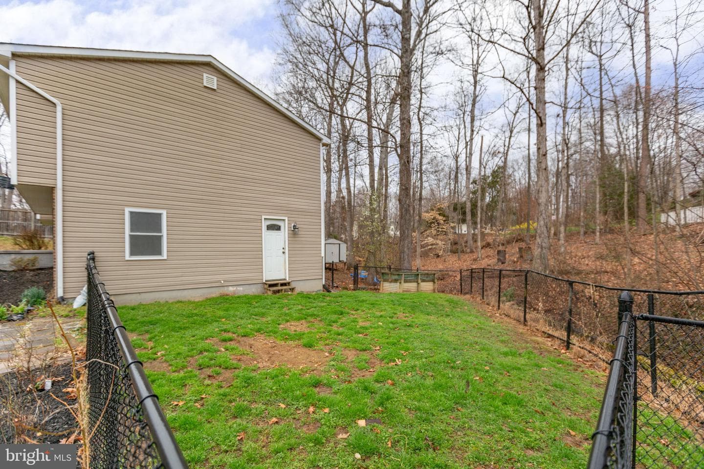 433 Albany Street photo 4