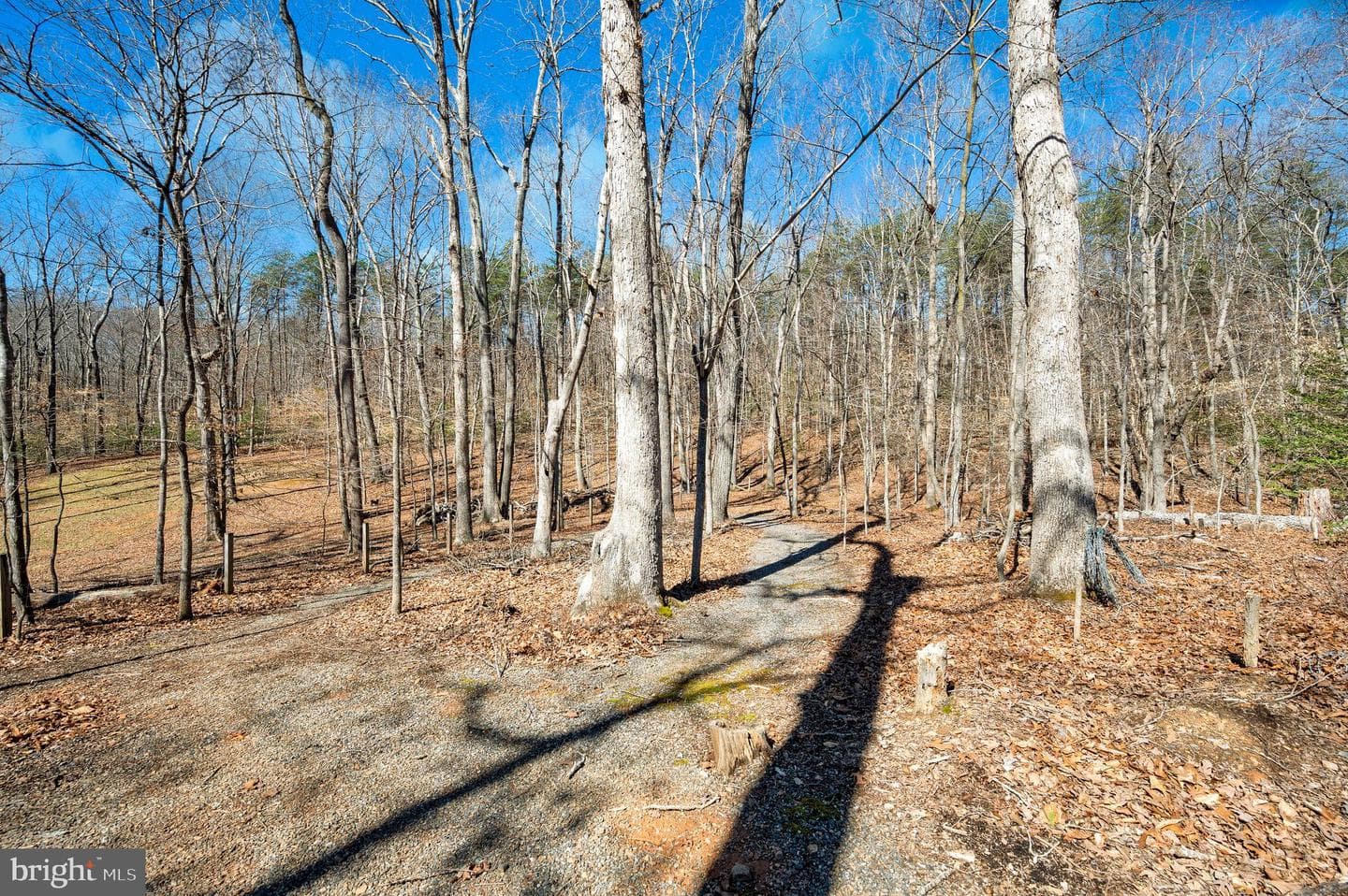 15109 Rose Valley Drive photo 42