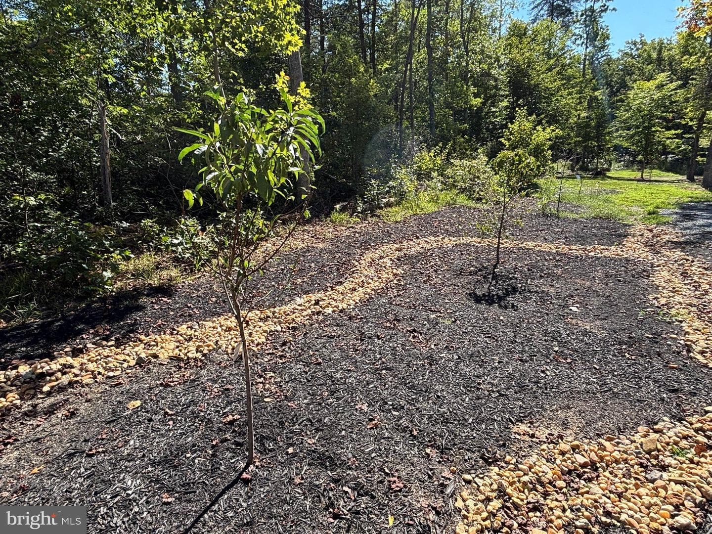 5428 Ridge Road photo 54
