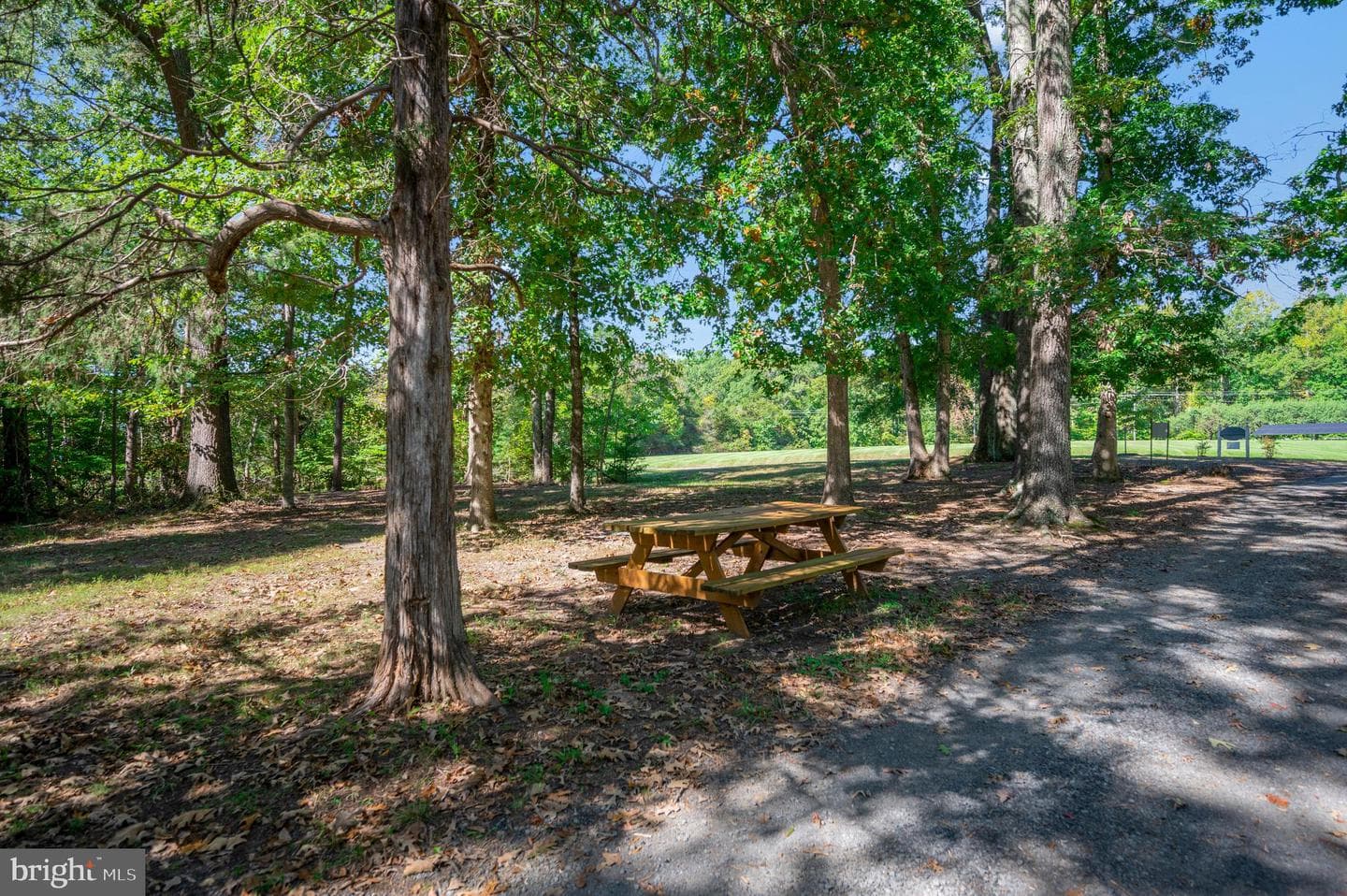 5509 Bazzanella Drive photo 49