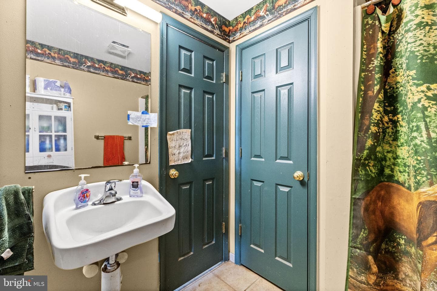 5 Appaloosa Drive photo 21