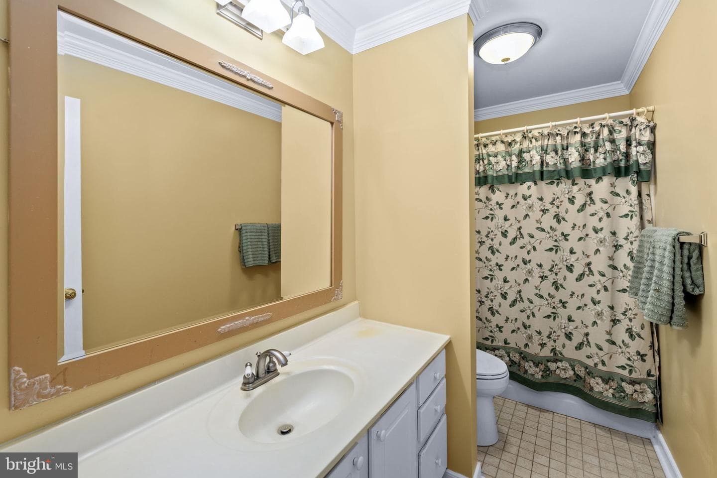 5 Appaloosa Drive photo 54