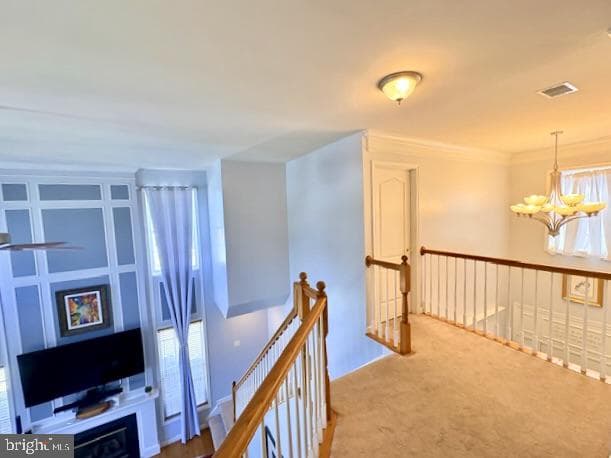 7507 Katie Drive photo 23